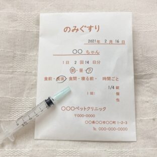 猫飼育歴20年！店主が教えるどうぶつ病院を選ぶコツ