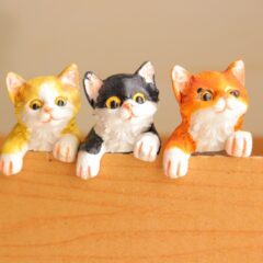 迷い猫みけちゃん(その後)