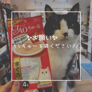 みんな大好き、ちゅーるの外袋寄付のお願い