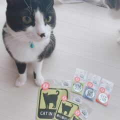 お買い物して猫助け！〈寄付金付き〉ねこ雑貨特集