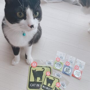 お買い物して猫助け!〈寄付金付き〉ねこ雑貨特集