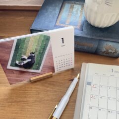 お気に入りはお早めに！2023年猫カレンダー特集