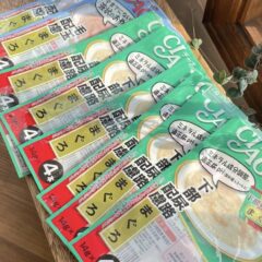 ちゅーる外袋お預かり分集計〈4月末まで〉