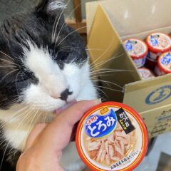 ちゅーるの外袋で猫缶届きました！